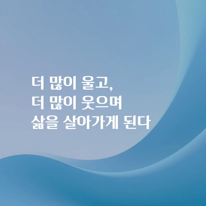 카드뉴스17