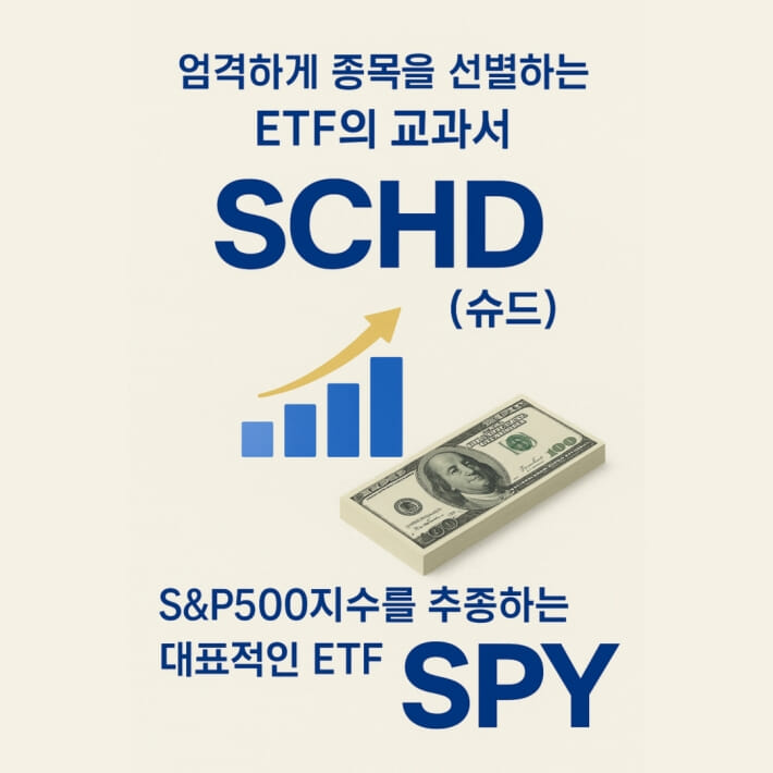 카드뉴스6