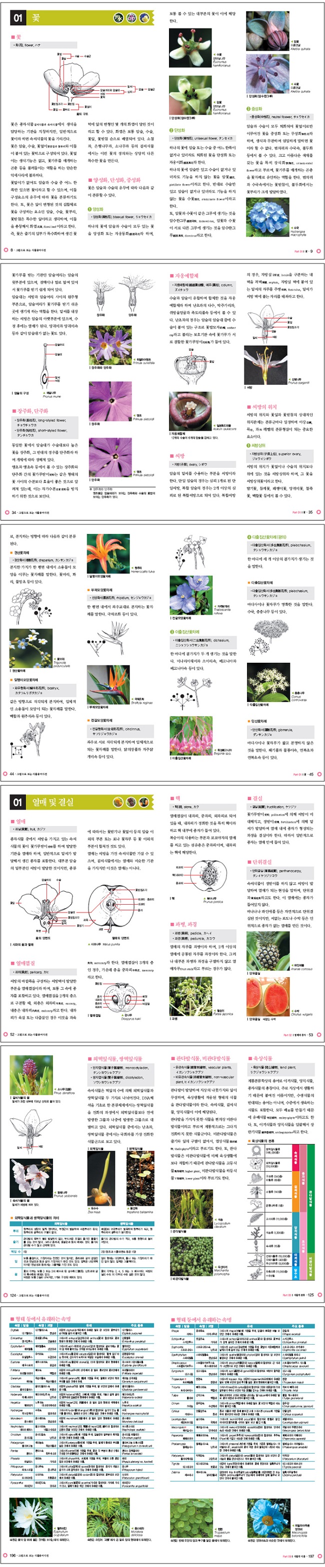 상세 이미지 1