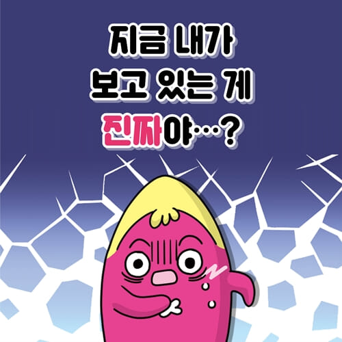 카드뉴스1