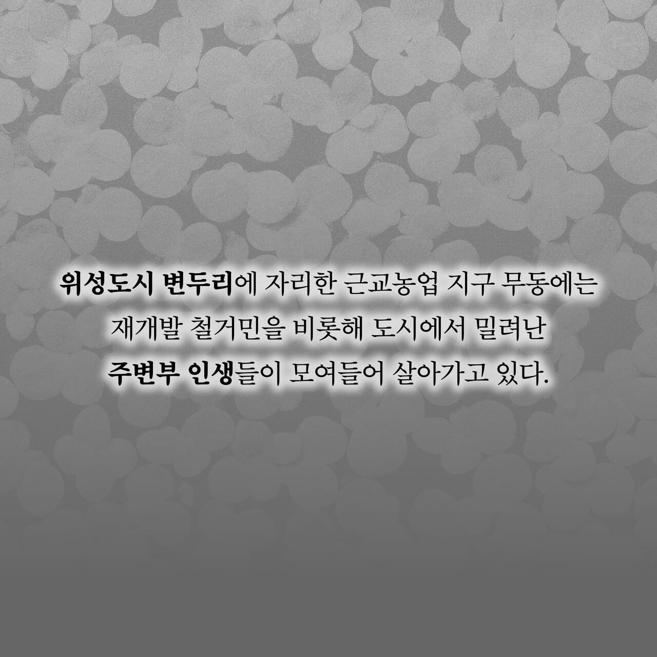 카드뉴스