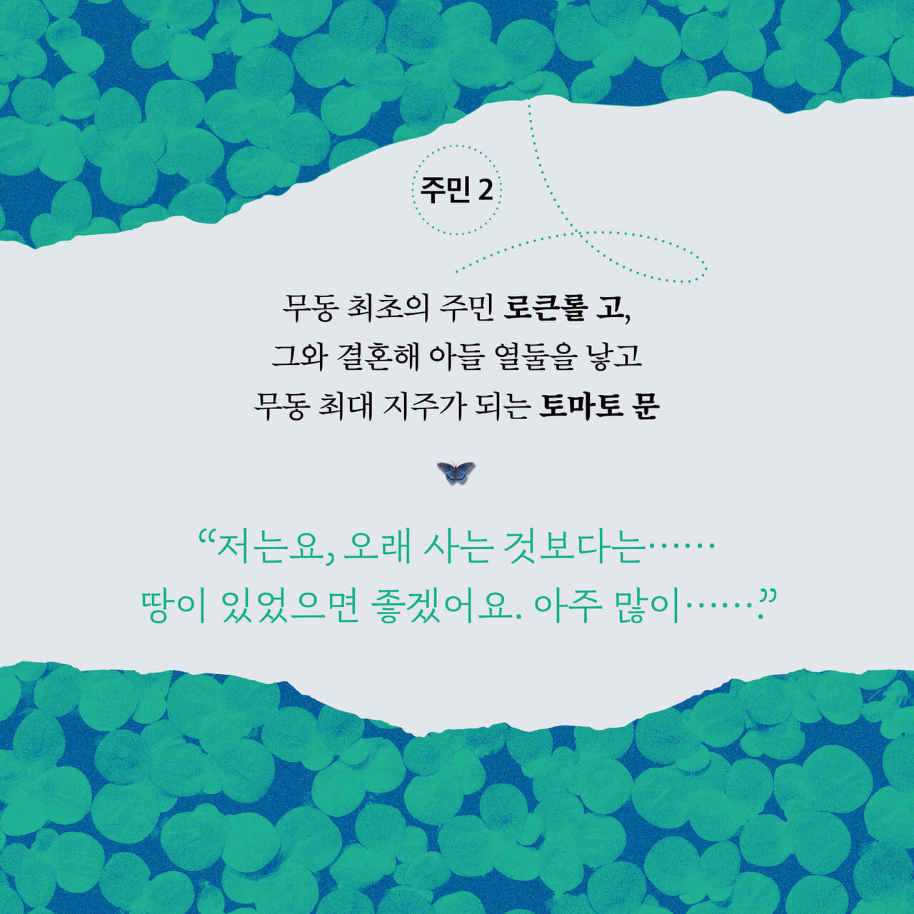 카드뉴스