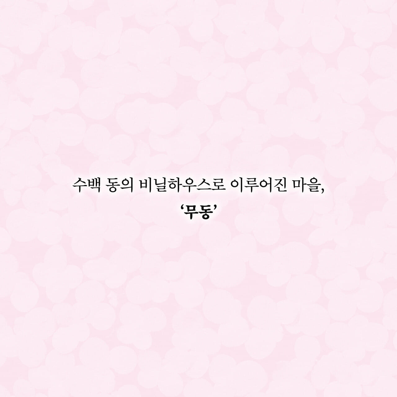 카드뉴스