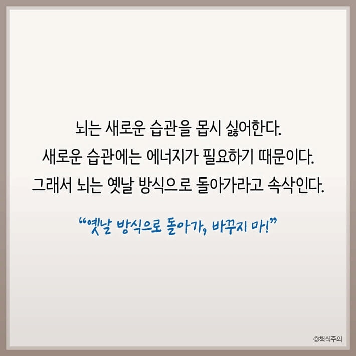 카드뉴스23