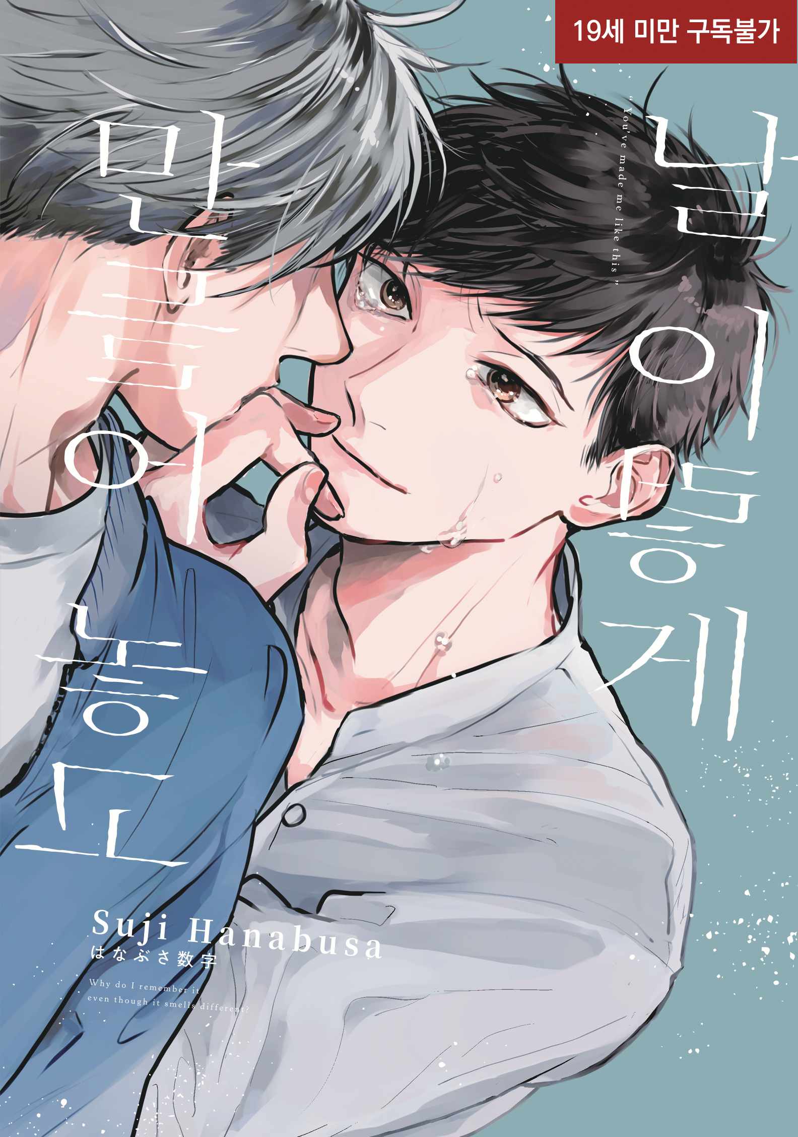 도서 제목