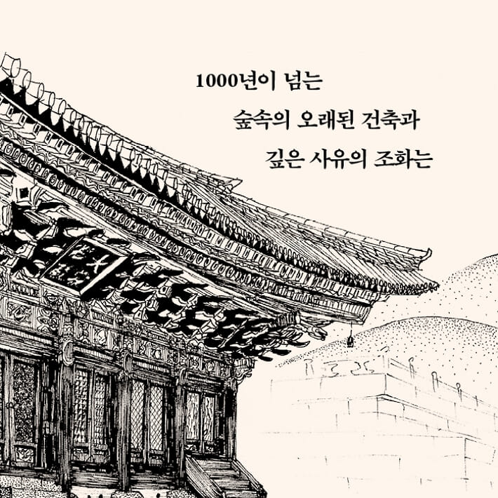 카드뉴스4