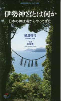 伊勢神宮とは何か 日本の神は海からやって