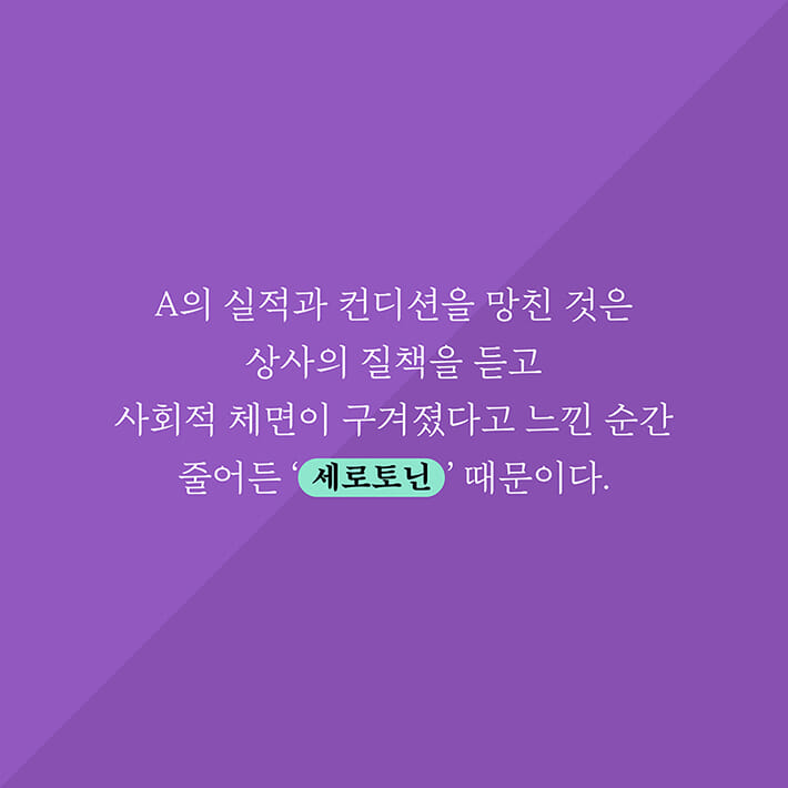 카드뉴스4