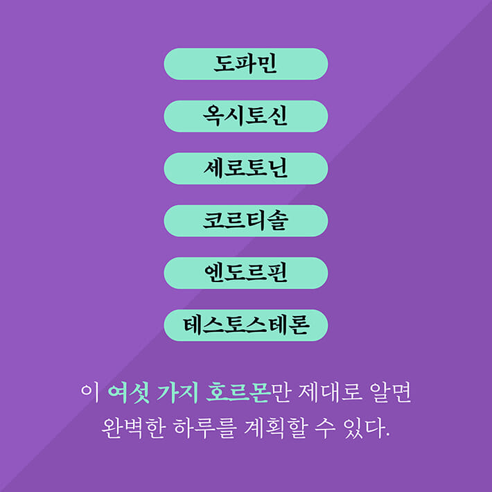 카드뉴스10
