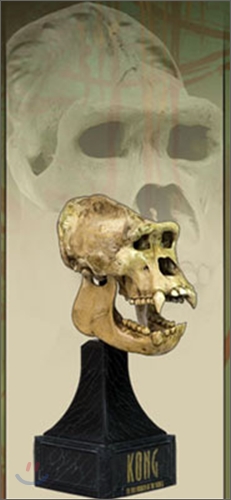 킹콩: King Kong Skull