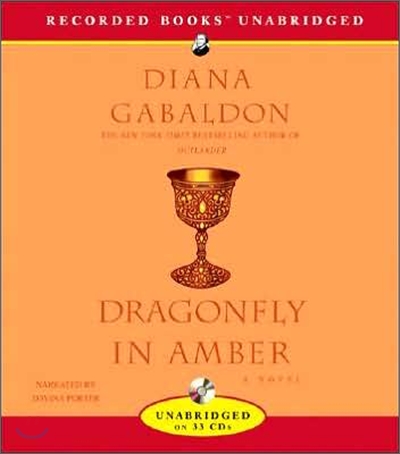 Dragonfly in Amber