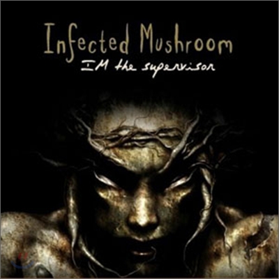 Infected Mushroom - I&#39;m the supervisor