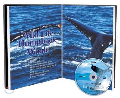 혹등고래 : 와일드라이프 스페셜 (UP 시리즈)