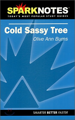 Sparknotes Cold Sassy Tree (Paperback, Study Guide)