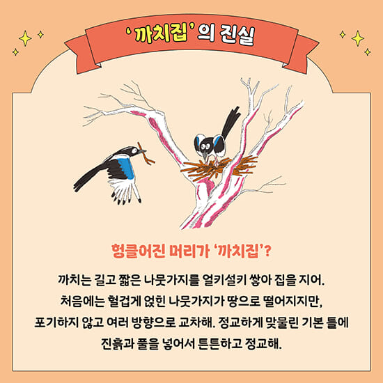 카드뉴스2