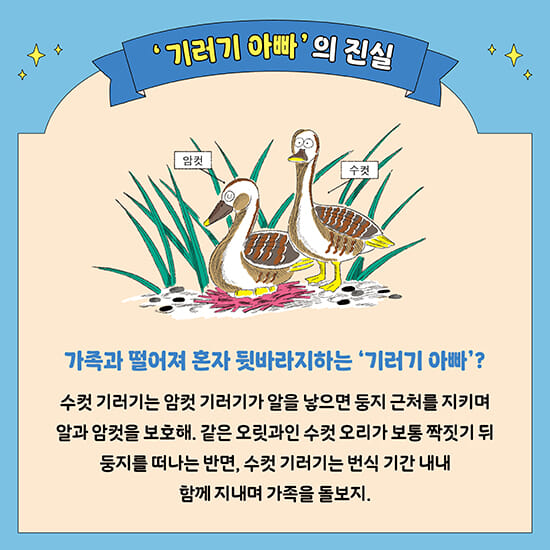 카드뉴스3