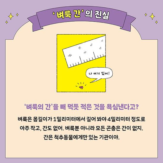 카드뉴스4