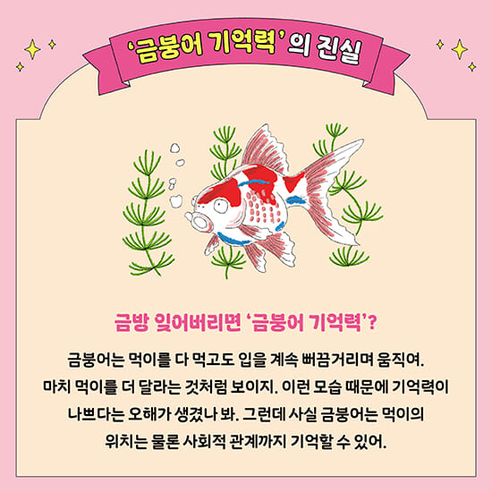 카드뉴스5