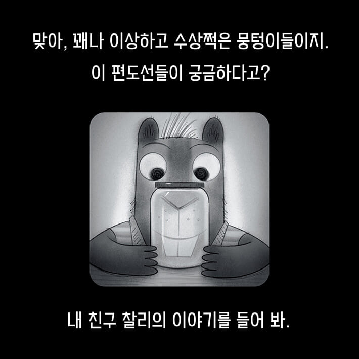 카드뉴스4
