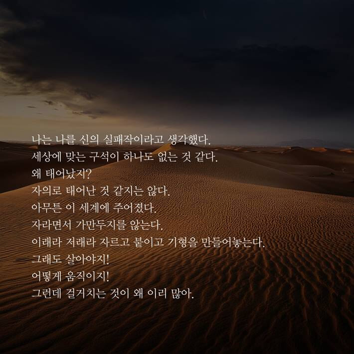 카드뉴스3