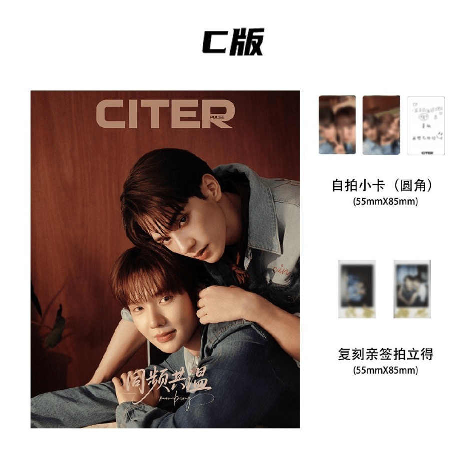C형] CITER PULSE 중국 2025년 : 켕X남핑 (KengNamping) 커버 (C형