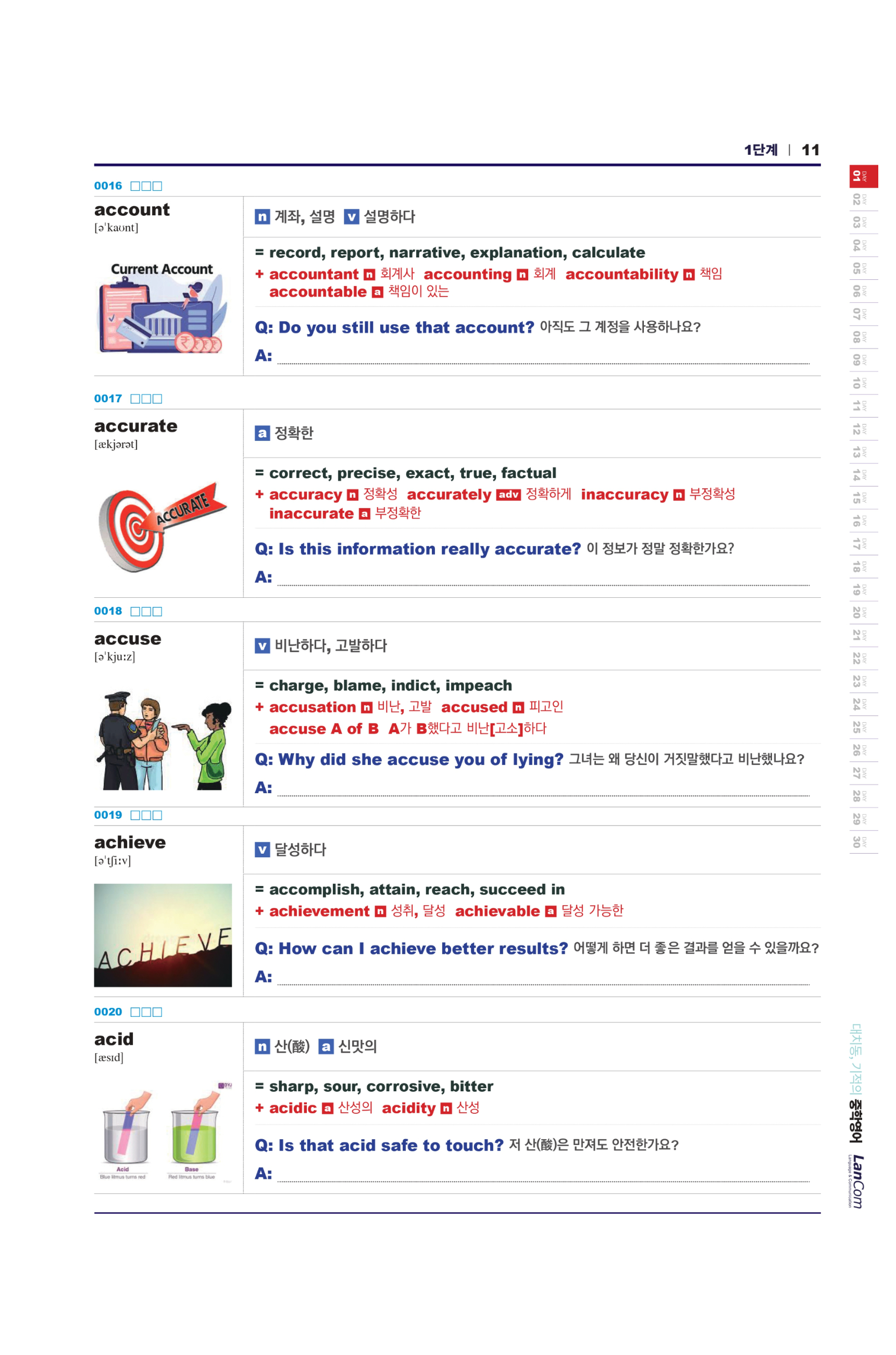 Image détaillée 11