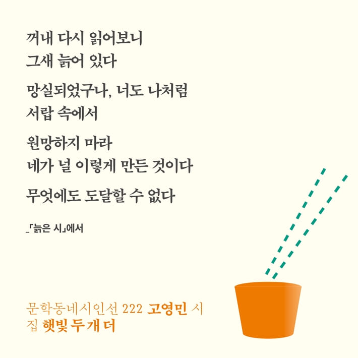 카드뉴스2