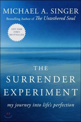 The Surrender Experiment: My Journey into Life&#39;s Perfection