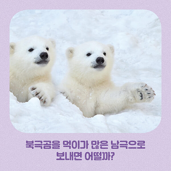카드뉴스1
