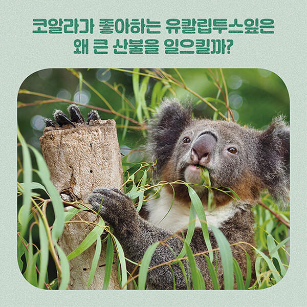 카드뉴스2