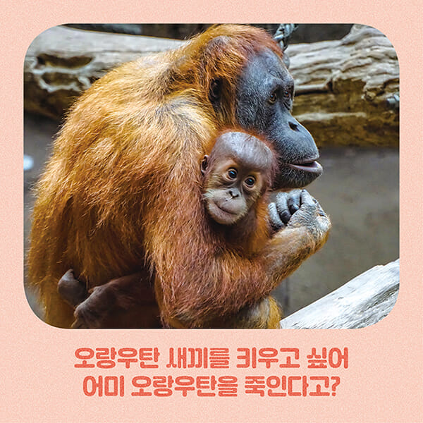 카드뉴스3