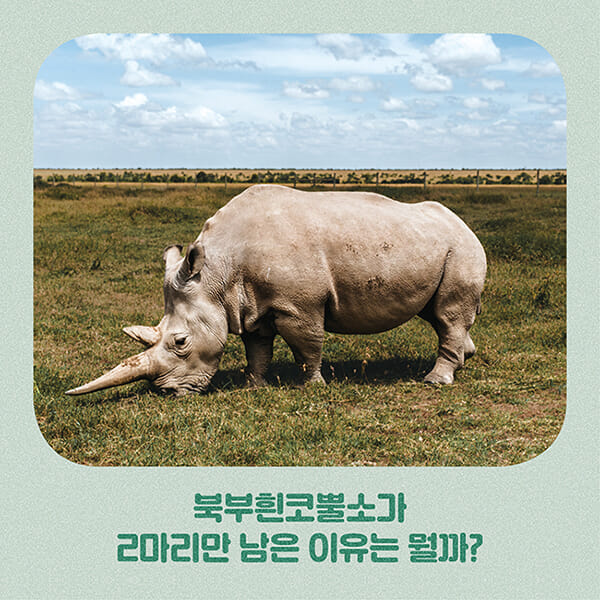 카드뉴스5