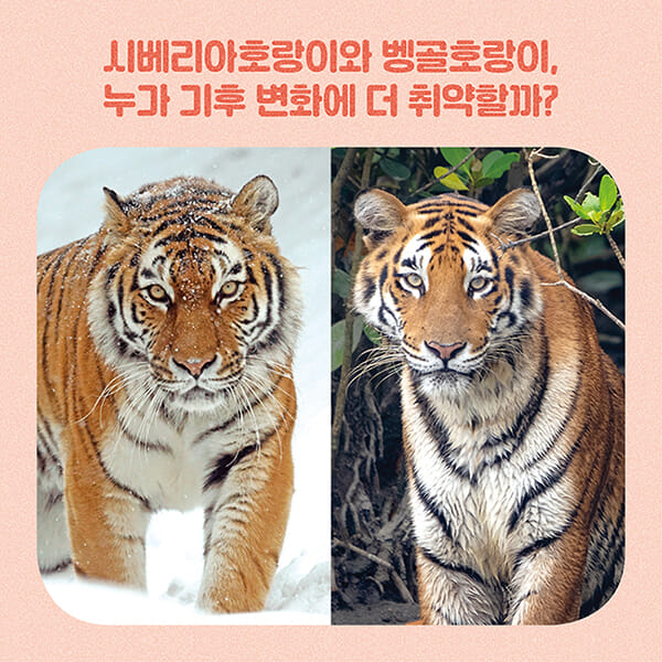 카드뉴스6