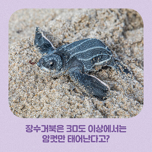 카드뉴스7