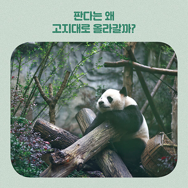 카드뉴스8
