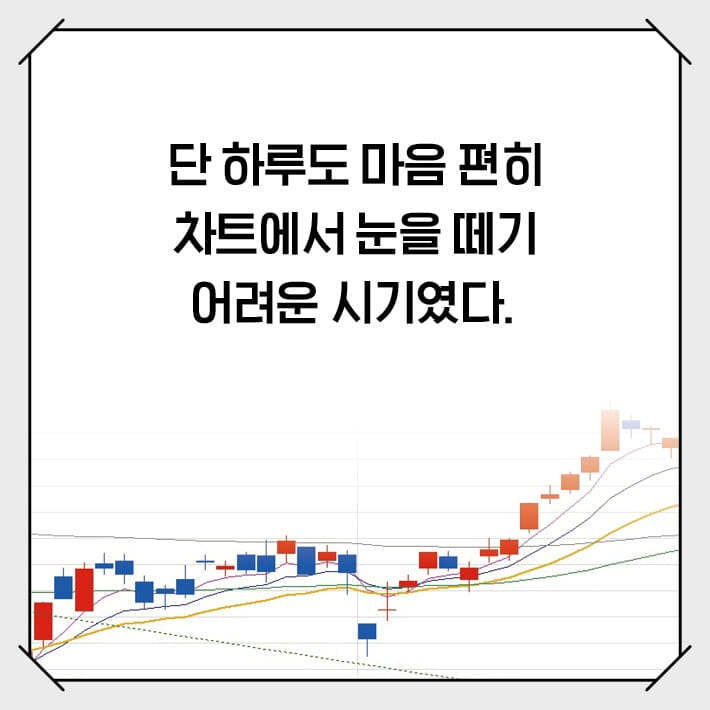 카드뉴스3