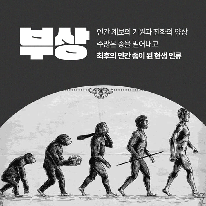 카드뉴스5