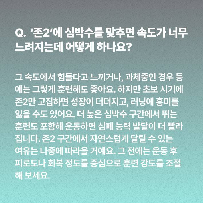 카드뉴스5
