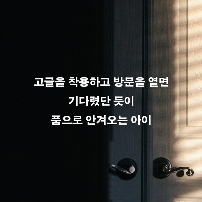 카드뉴스4