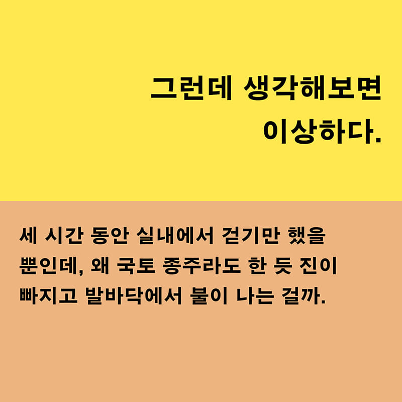 카드뉴스