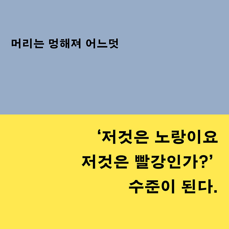 카드뉴스