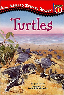 All Aboard Reading Level 1 : Turtles