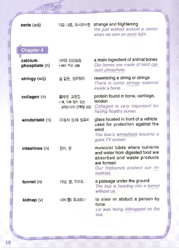 The Magic School Bus a Science Chapter Book : The Magic Word Power (단어장)