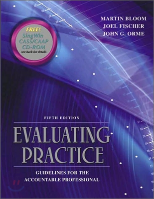 Evaluating Practice : Guidelines for the Accountable Professional, 5/E