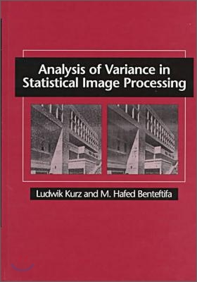 Analysis of Variance in Statistical Image Processing (Hardcover)