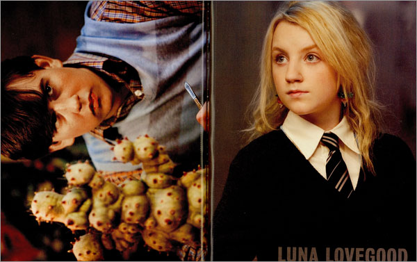 Harry Potter and the Order of the Phoenix : Movie Poster Book