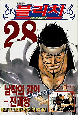 블리치 BLEACH 28