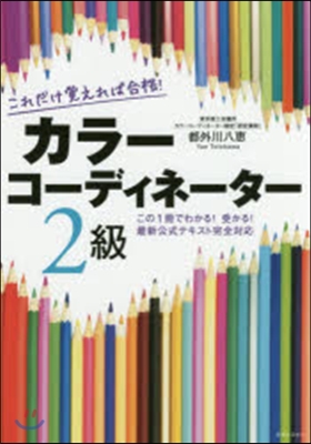 カラ-コ-ディネ-タ-2級