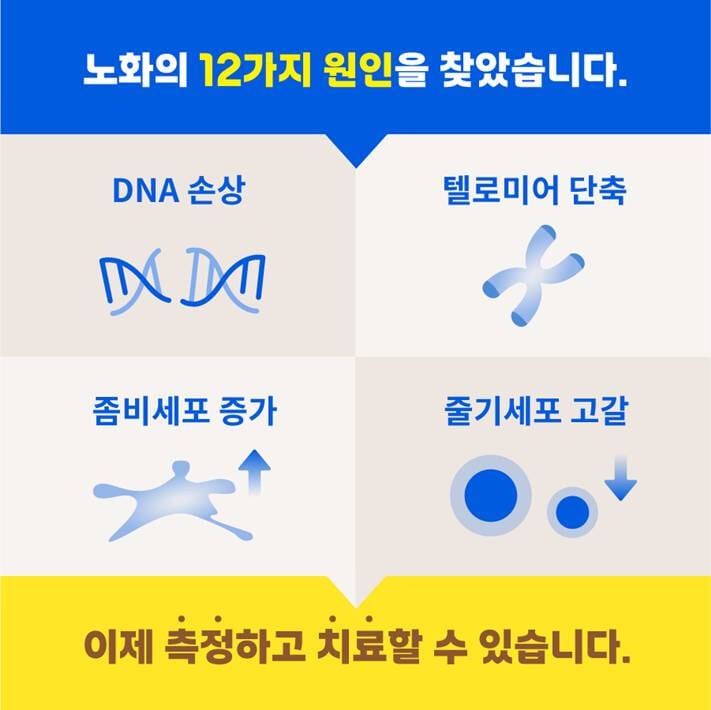 카드뉴스4