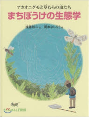 まちぼうけの生態學 アカオニグモと草むら